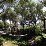 Domus De Rocas House