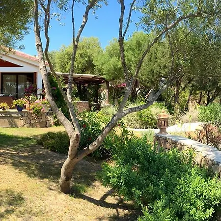 Villa Domus De Rocas House