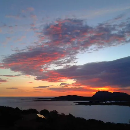 Domus De Rocas House * Porto Rotondo