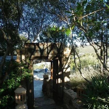 Villa Domus De Rocas House Porto Rotondo