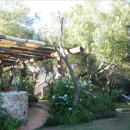 Domus De Rocas House Villa *